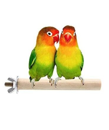 Sage Square Natural Wooden Bird Perch, 6 in