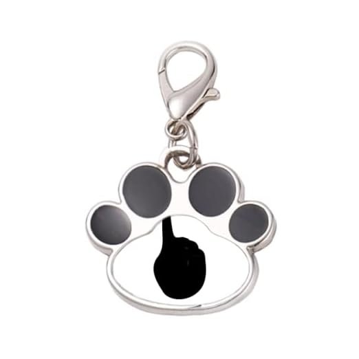 Bestchong Stainless Steel Dog & Cat ID Tag