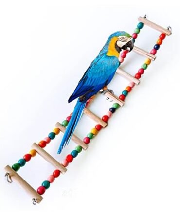 WUMUGE Bendable Rainbow Bird Ladder, 8-Step