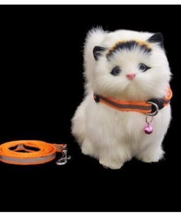 Pet Believe Reflective Cat Collar with Bell, Neon Orange