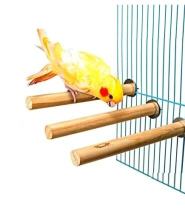 Natural Wood Bird Cage Perch Set, 3-Pack