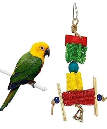 Pets Empire Reggae Man Bird Toy, 26 cm