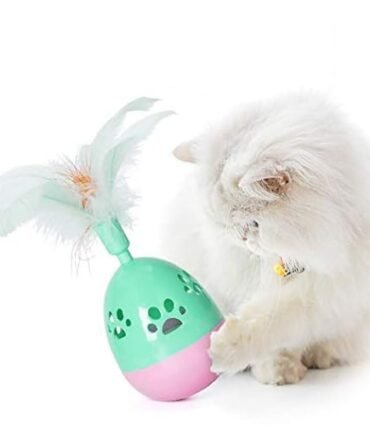 RvPaws Rolly Polly Feather Cat Tumbler Toy