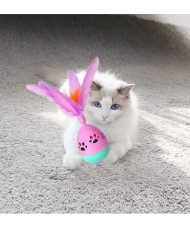 Petlicious Rolly Polly Feather & Treat Cat Toy