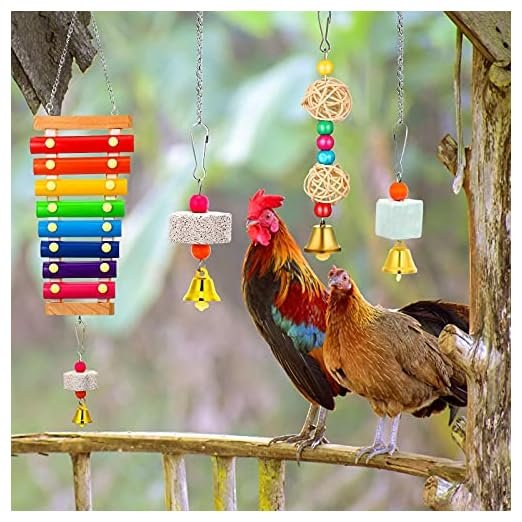 Sumind Chicken Enrichment Toy Set, 6-Piece - Image 7