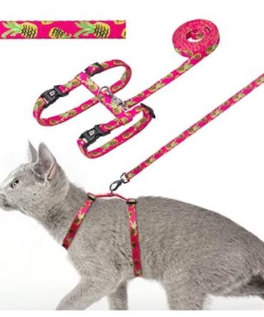 azuza Adjustable Pineapple Cat Harness & Leash