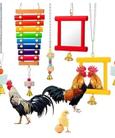 Sumind Chicken Enrichment Toy Set, 6-Piece