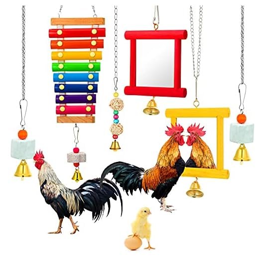 Sumind Chicken Enrichment Toy Set, 6-Piece