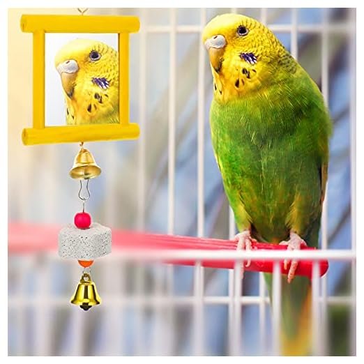 Sumind Chicken Enrichment Toy Set, 6-Piece - Image 5