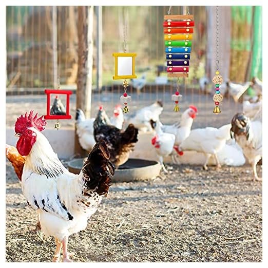 Sumind Chicken Enrichment Toy Set, 6-Piece - Image 6