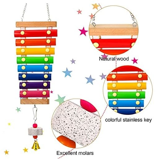 Sumind Chicken Enrichment Toy Set, 6-Piece - Image 3