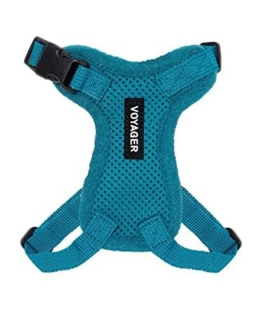 Voyager Step-In Lock Cat Harness, Turquoise, XXXS