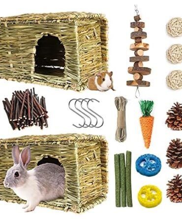 PStarDMoon Edible Grass Hideaway Set for Small Pets
