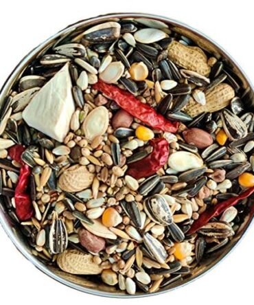 Pets 12-Grain & Nut Parrot Seed Mix, 900 g