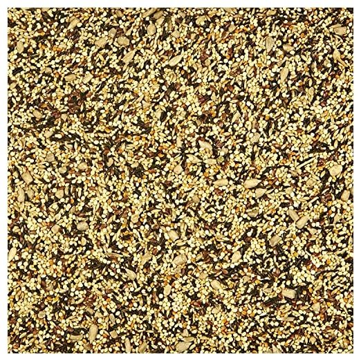Kaytee Cracked Corn, 4 lb - Image 5